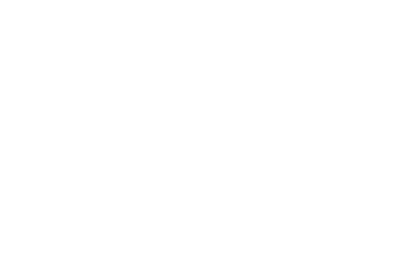 Night to Shine, Tim Tebow Foundation