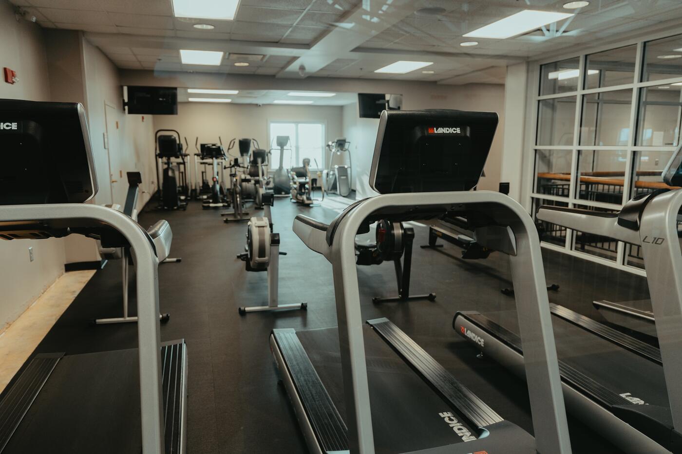 Treadmills along the cardio room wall.