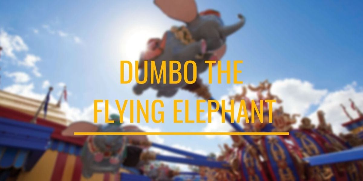Dumbo blog