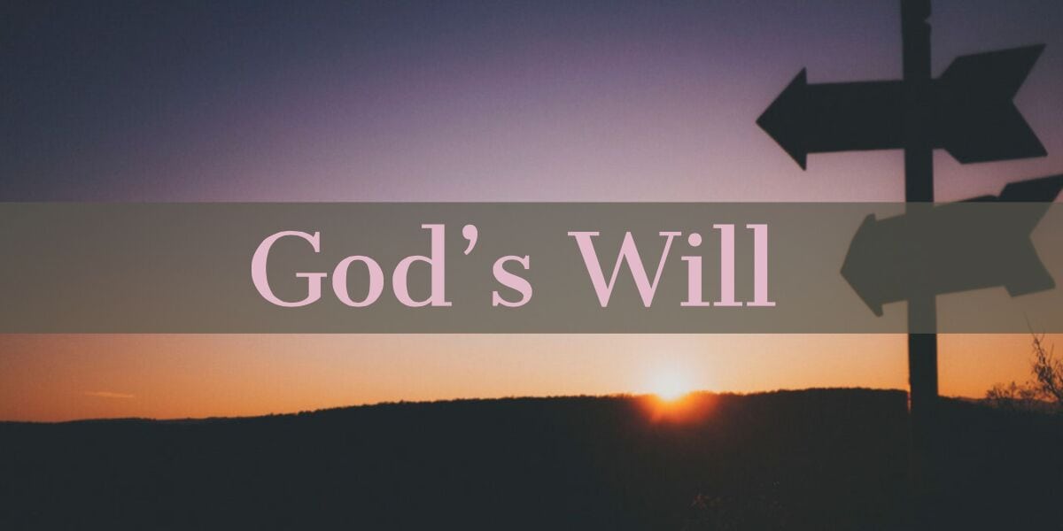 God's Will_preview