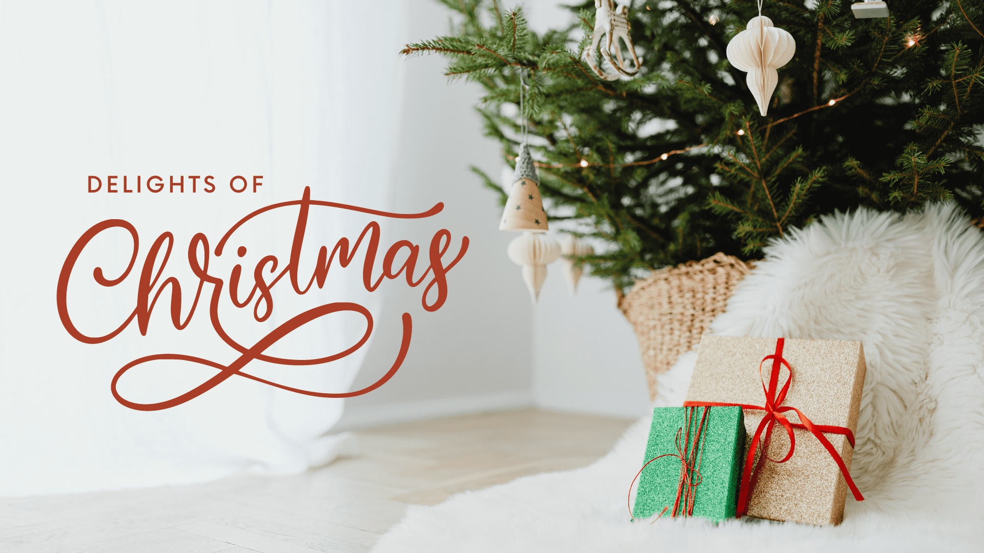 Delights of Christmas Day 5 Warren Church