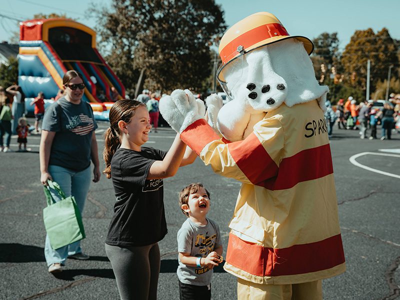 BVD FFF 2025_800x600