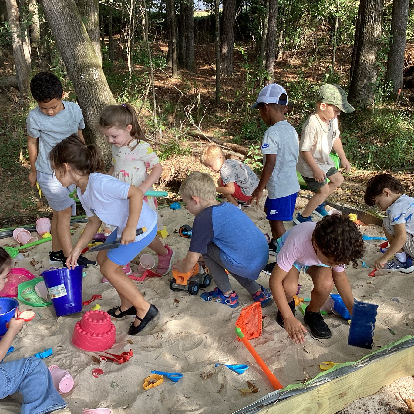 GT WPS page curriculum 1 2026