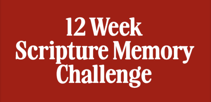 Screenshot 2026-02-11 at 11.38.56 AM