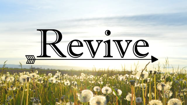 vimeo placeholder image